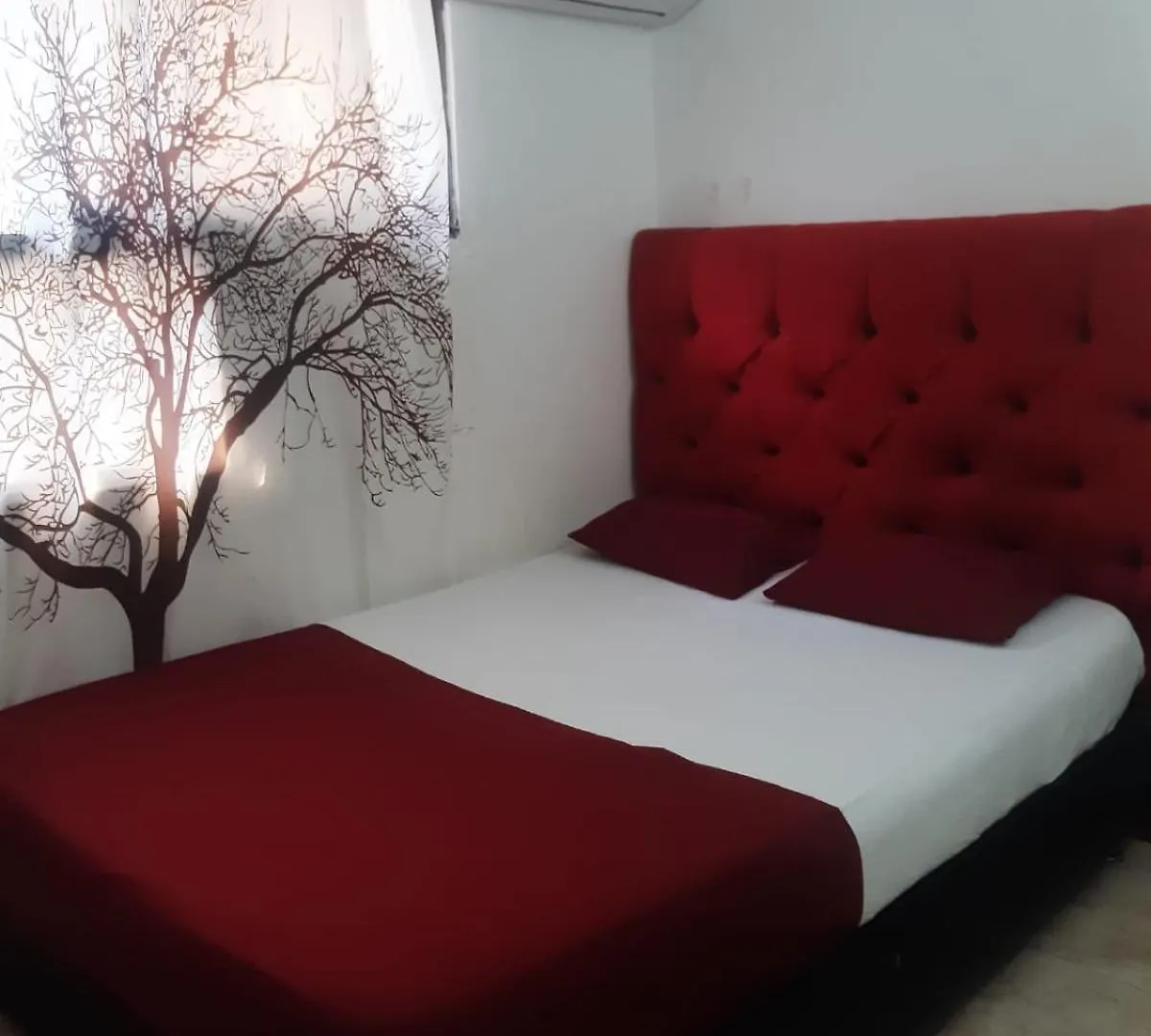 ホテル New Iguana House Cartagena